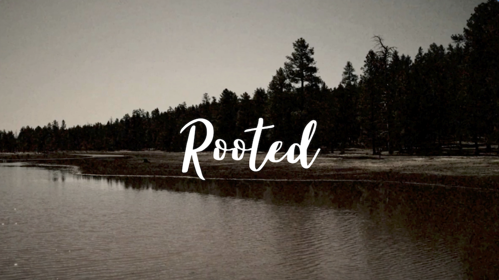 Rooted sermon series Rooted sermon series